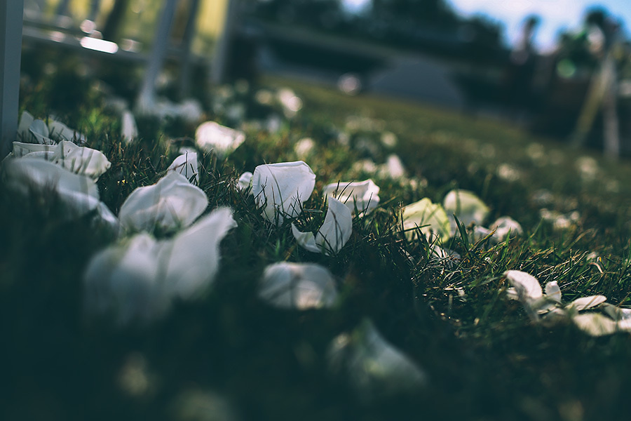 Yulia & Slava wedding (Le Mas de la Fouque ,France) – 6.14.2014 (Day T. Emin Kuliyev — Award-Winning Wedding Photojournalist NYC & USA | Best Wedding Photographer Known for Candid, Timeless Moments
