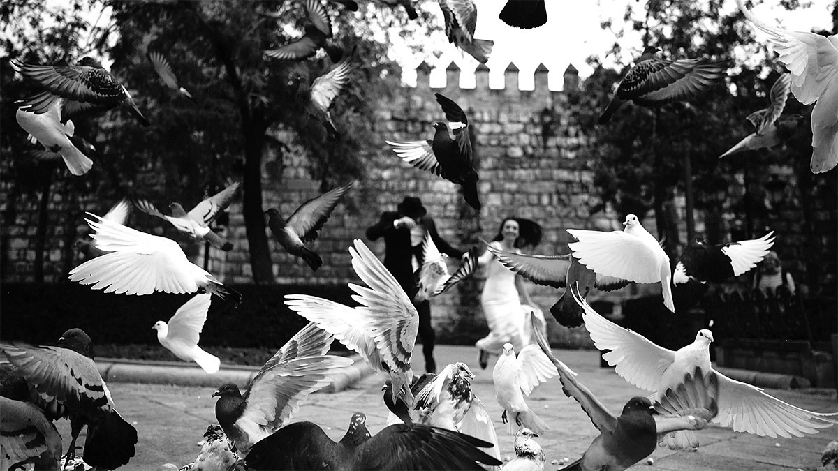 Aleksandrs & Džeina : Love story in Spain and Portugal, December 2016. Emin Kuliyev — Award-Winning Wedding Photojournalist NYC & USA | Best Wedding Photographer Known for Candid, Timeless Moments