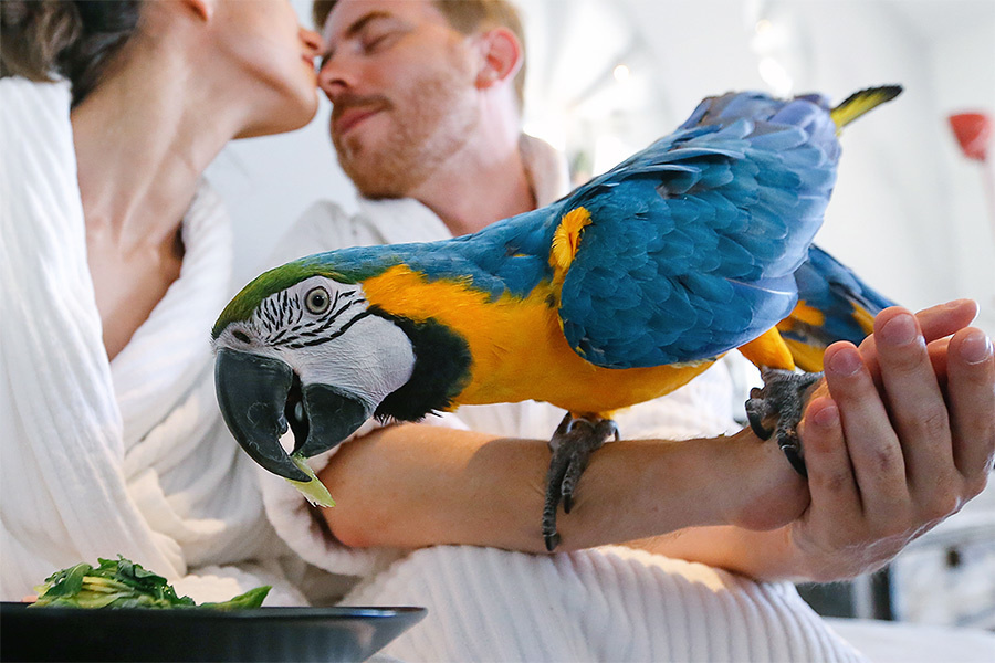 Yulia & Slava wedding (Le Mas de la Fouque ,France) – 6.14.2014 (Day T. Emin Kuliyev — Award-Winning Wedding Photojournalist NYC & USA | Best Wedding Photographer Known for Candid, Timeless Moments