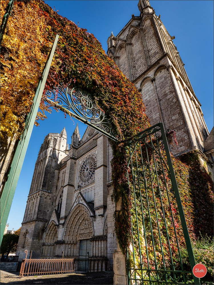 Poitiers 🇫🇷. Photographe à Strasbourg | Portraits, Studio, Enfants, Événements