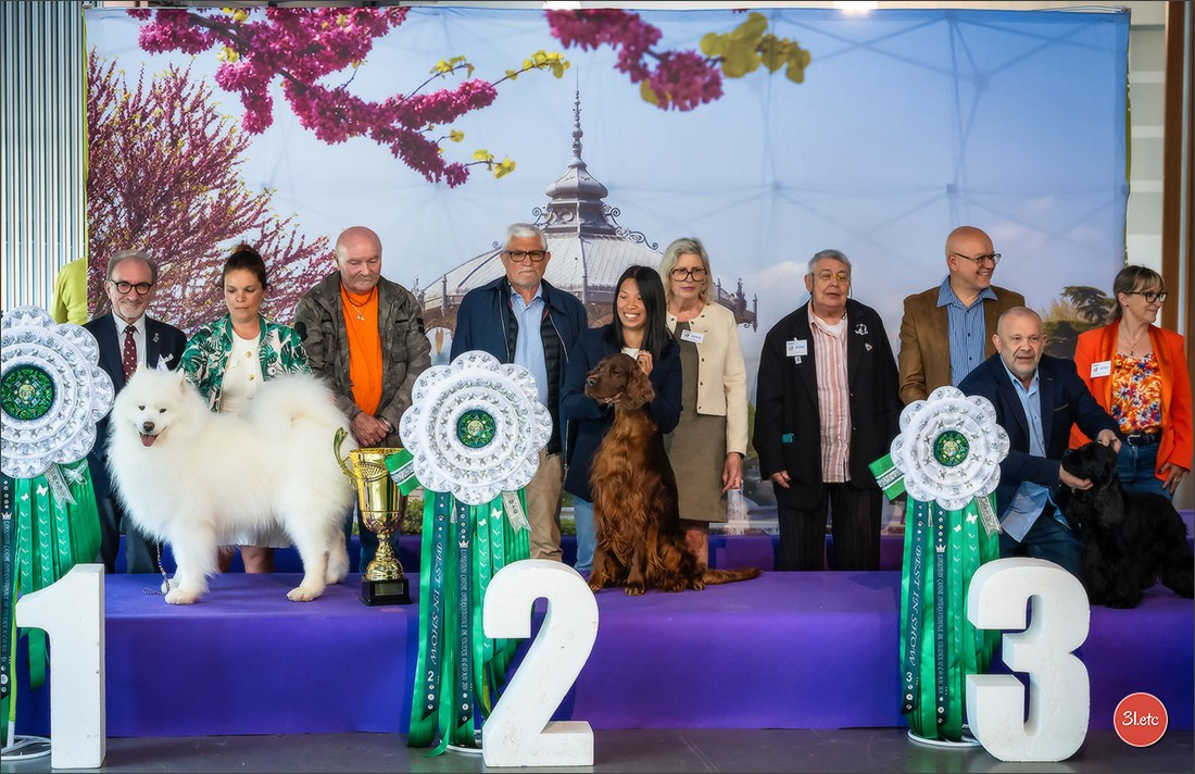 Expo canine 🇫🇷 Valence 02-03/05/2026