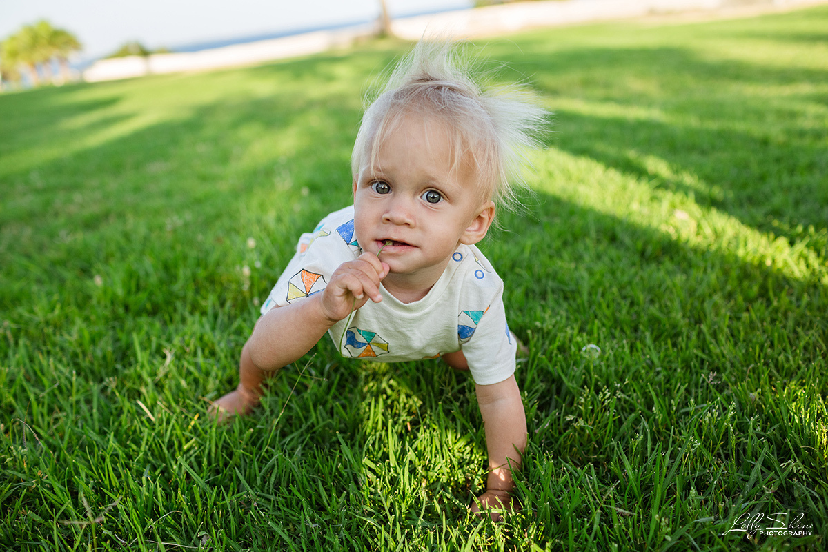 FAMILY STORIES. Lolly Shine. Contemporary digital artist