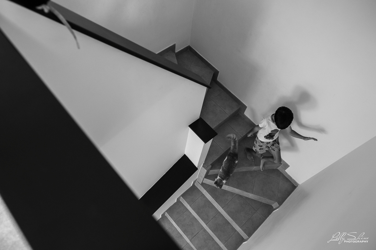 FAMILY STORIES. Lolly Shine. Contemporary digital artist