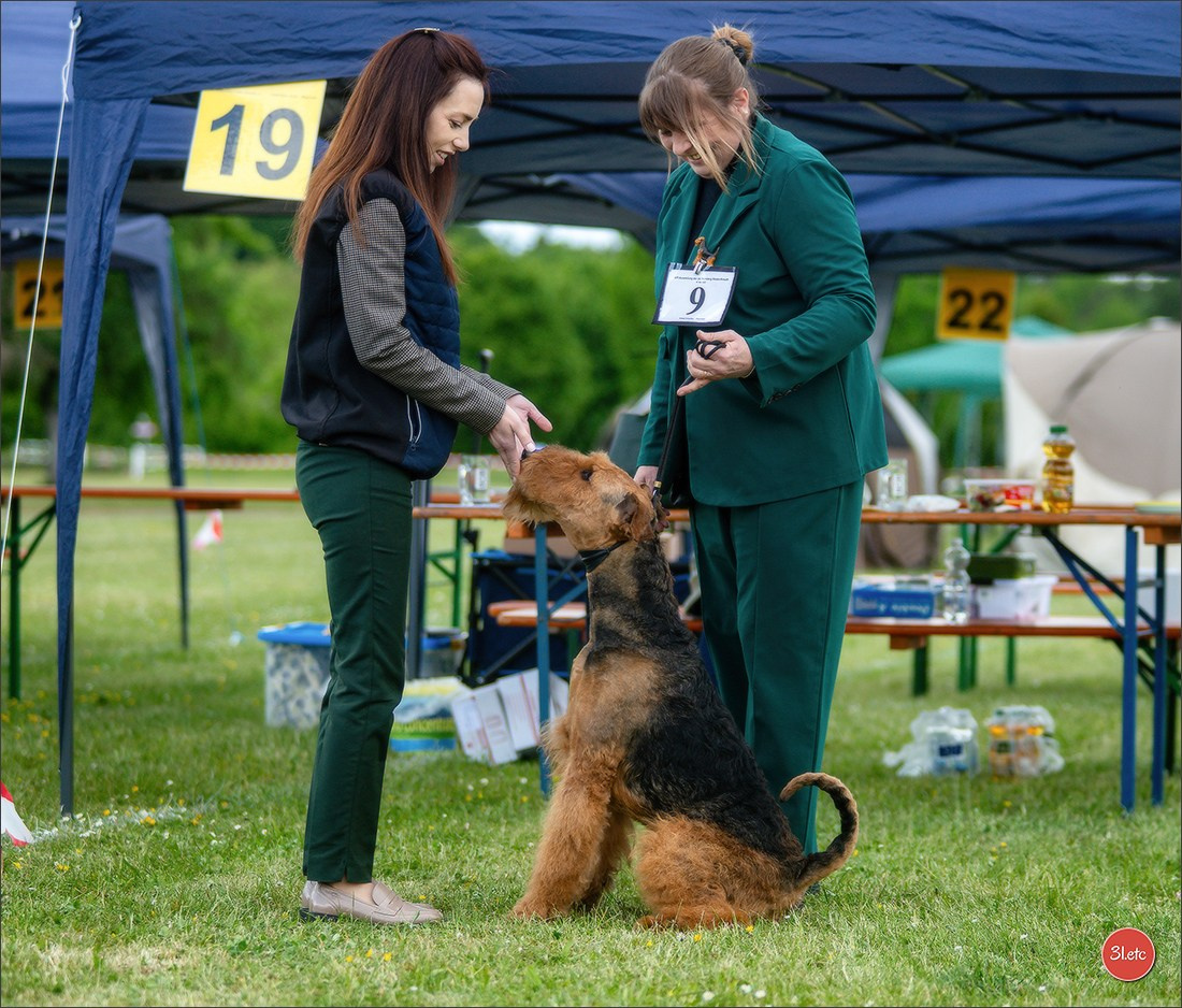 Dog Show Rieden 🇩🇪 16-18/05/2025. Photographe à Strasbourg | Portraits, Studio, Enfants, Événements