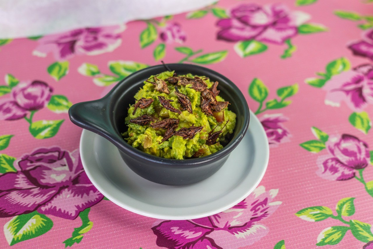 Maiz Restaurante. Alex Martínez Fotógrafo | Bodas, retratos y eventos en Tijuana