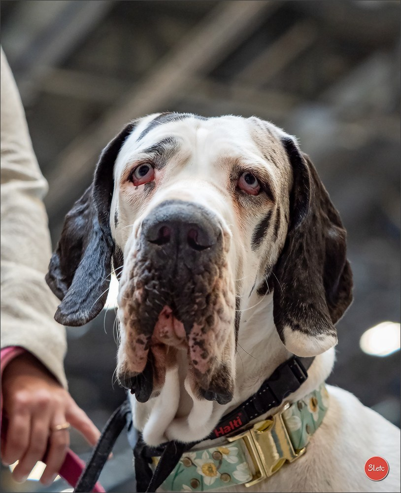 🇨🇭 Geneva 03-05.10.2025 🇨🇭. Photographe à Strasbourg | Portraits, Studio, Enfants, Événements