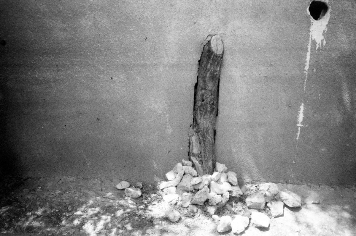 Garden of stones. Natalia Parfenova visual artist film photographer