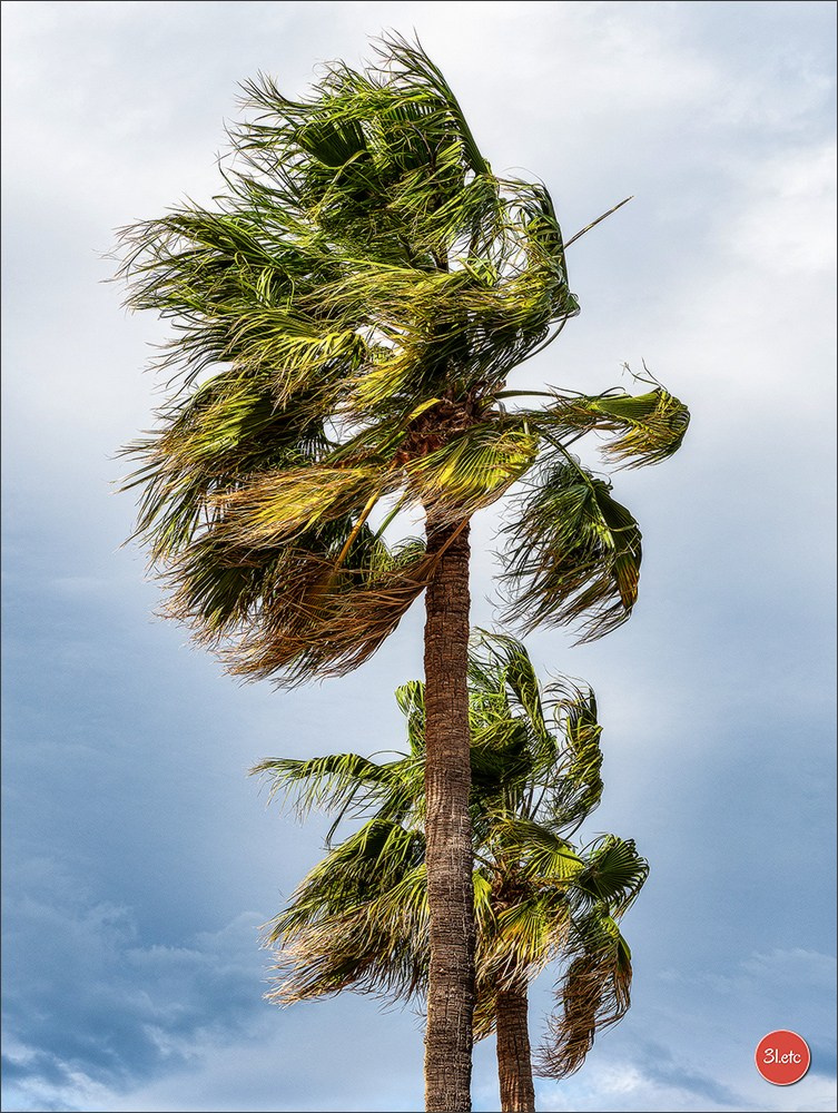 Martigues 19-20/04/2025. Photographe à Strasbourg | Portraits, Studio, Enfants, Événements