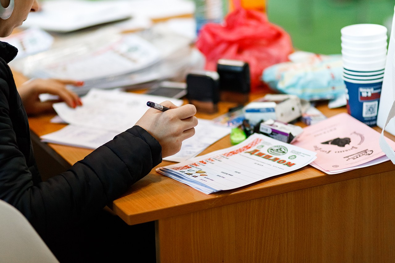 Grodno dog show. Kaja | fotograf we Wrocławiu | ludzie i psy
