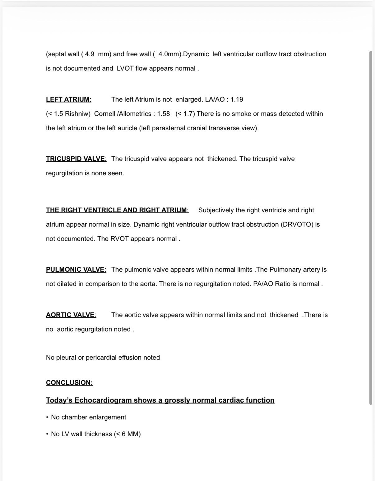 Echocardiogram Report of Chudo: Normal on 30 Apr 2026