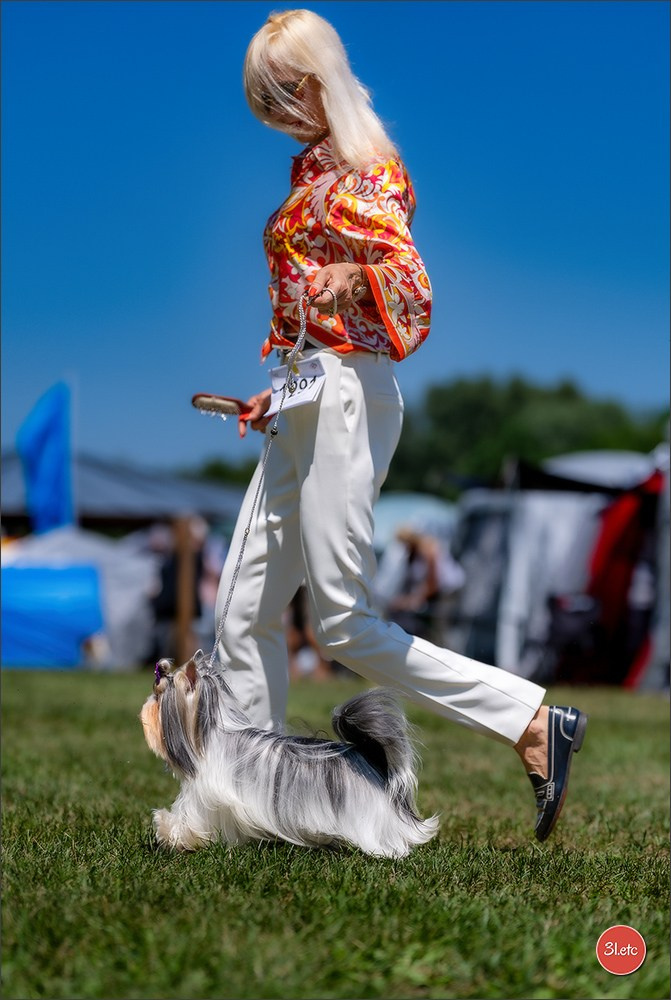 Dog Show - Hallbergmoos 🇩🇪 11-12/07/2026