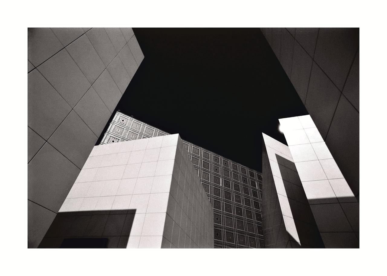 GROWTH. Grigoriy Yaroshenko photography | Фотограф Григорий Ярошенко