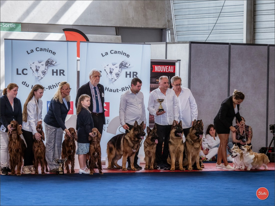 Expositions canines des 6 & 7 avril 2024 NDS Mulhouse, France. Photographe à Strasbourg | Portraits, Studio, Enfants, Événements