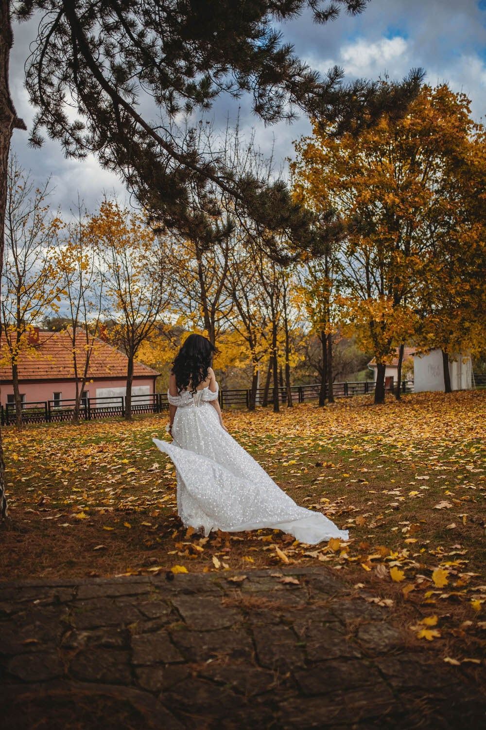 Galerija. Mladen Stanić Photography