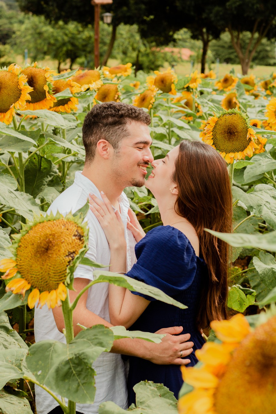 Ensaio de Casal em Holambra no Bloemen Park | Joyce Maria Fotografia. Joyce Maria Fotografia | Fotógrafa em Holambra