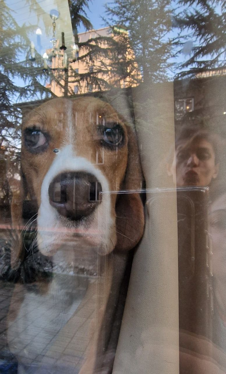 Работы учеников. Фотограф и преподаватель фотографии в Белграде