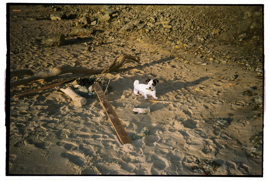 FILM. Valery — Film and digital Photographer. Conceptual, Portrait & Brand Photography. Authentic, Identity Focused Storytelling. Lisbon, Portugal