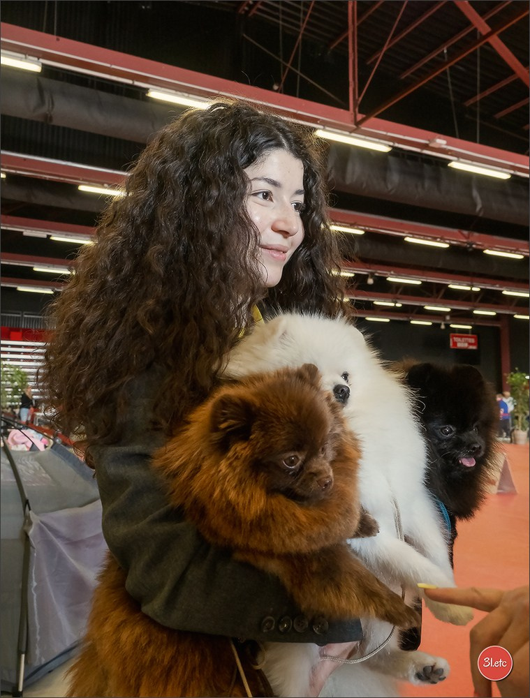 Expo canine 🇫🇷 MARGNY LES COMPIEGNE 06-07/09/2025. Photographe à Strasbourg | Portraits, Studio, Enfants, Événements