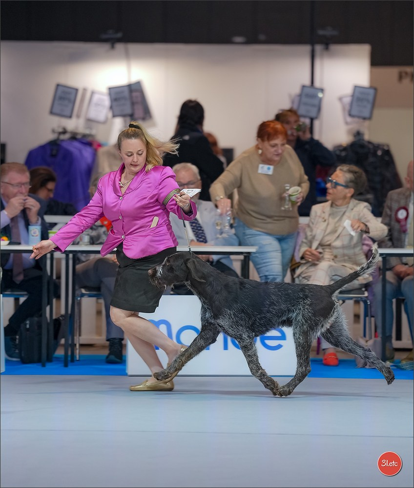 🇱🇺 LUXEMBOURG 🇱🇺 International Dog Show 4-5/04/2026. Photographe à Strasbourg | Portraits, Studio, Enfants, Événements