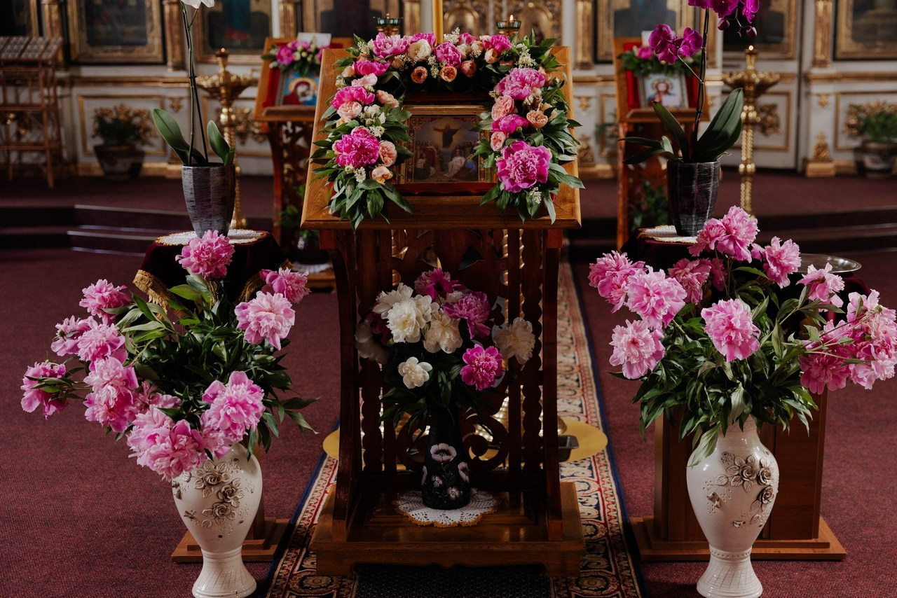 Recenzie. Www.stayscolor.md