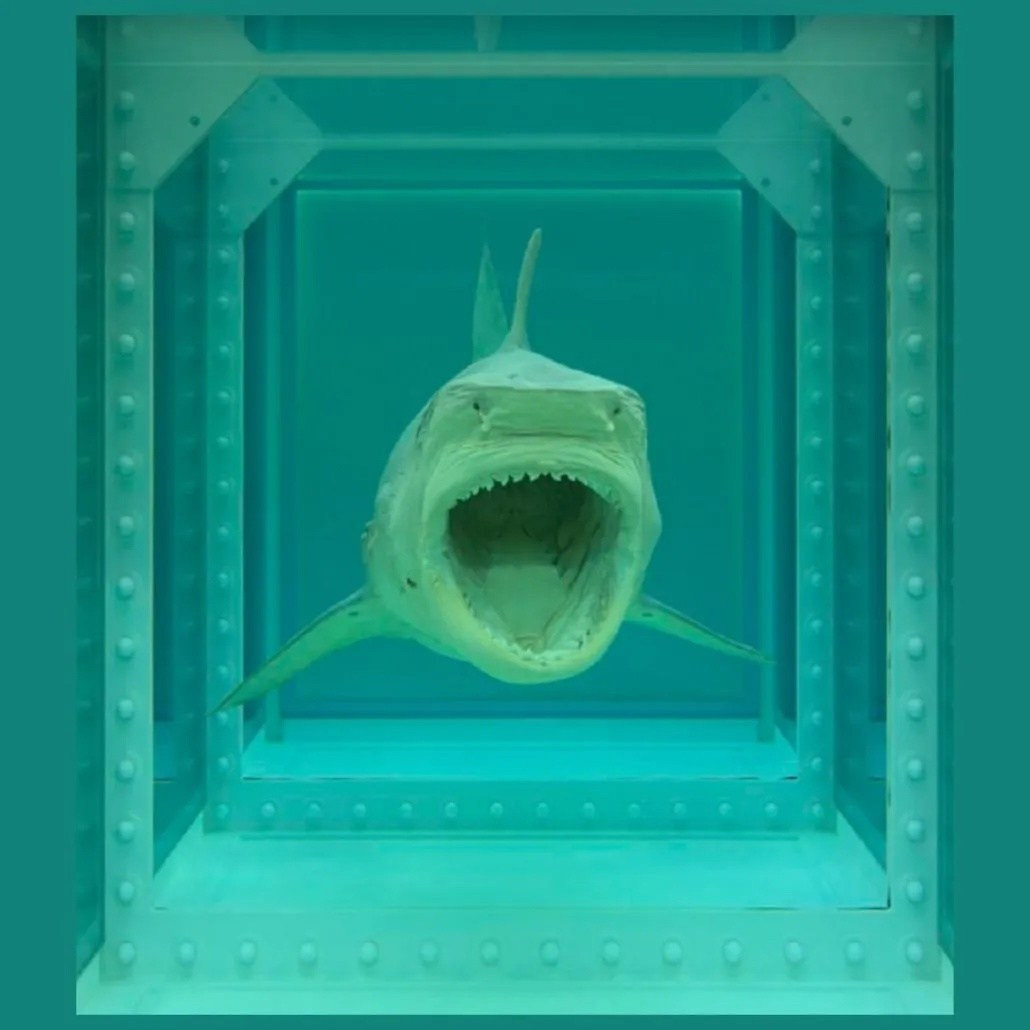 Damien Hirst —  The Physical Impossibility of Death in the Mind of Someone Living (1991)