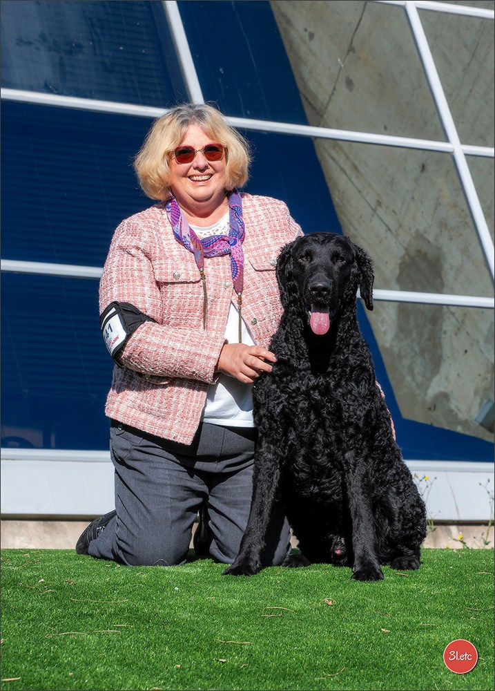 🇫🇷Exposition Canine Internationale de Perpignan. Photographe à Strasbourg | Portraits, Studio, Enfants, Événements