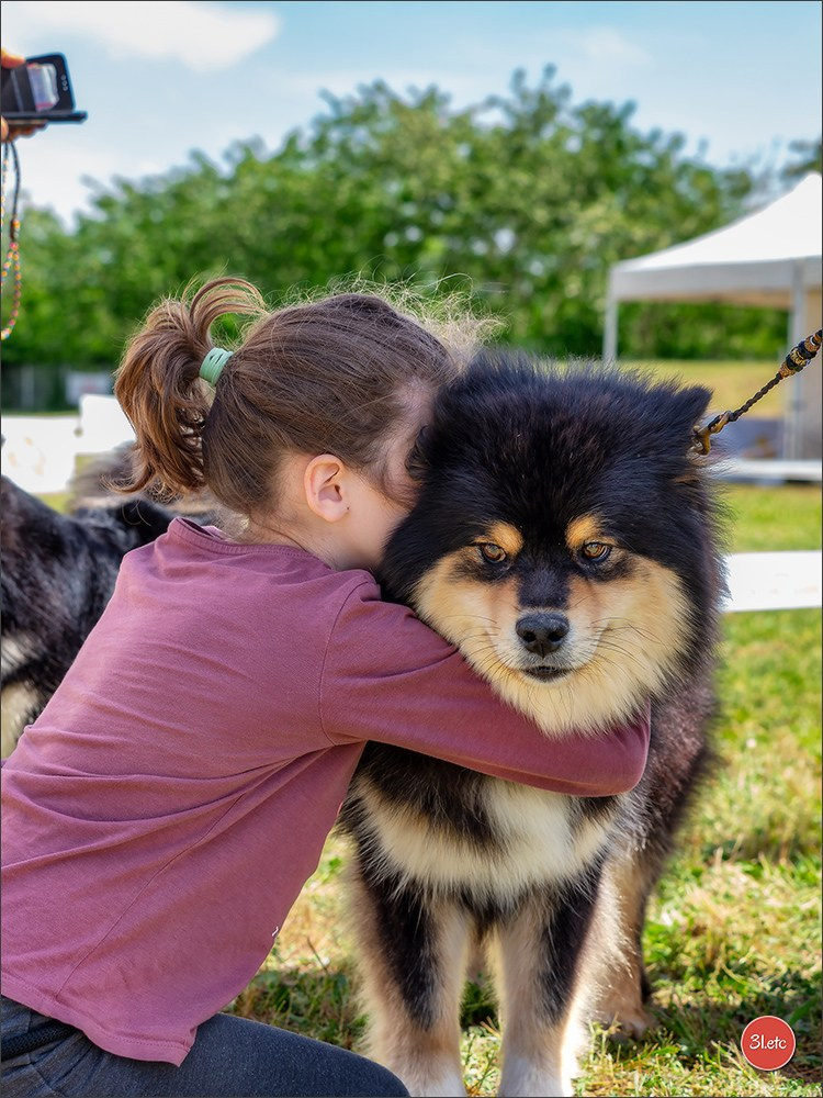 Expo canine 🇫🇷 Valence 03-04/05/2025. Photographe à Strasbourg | Portraits, Studio, Enfants, Événements