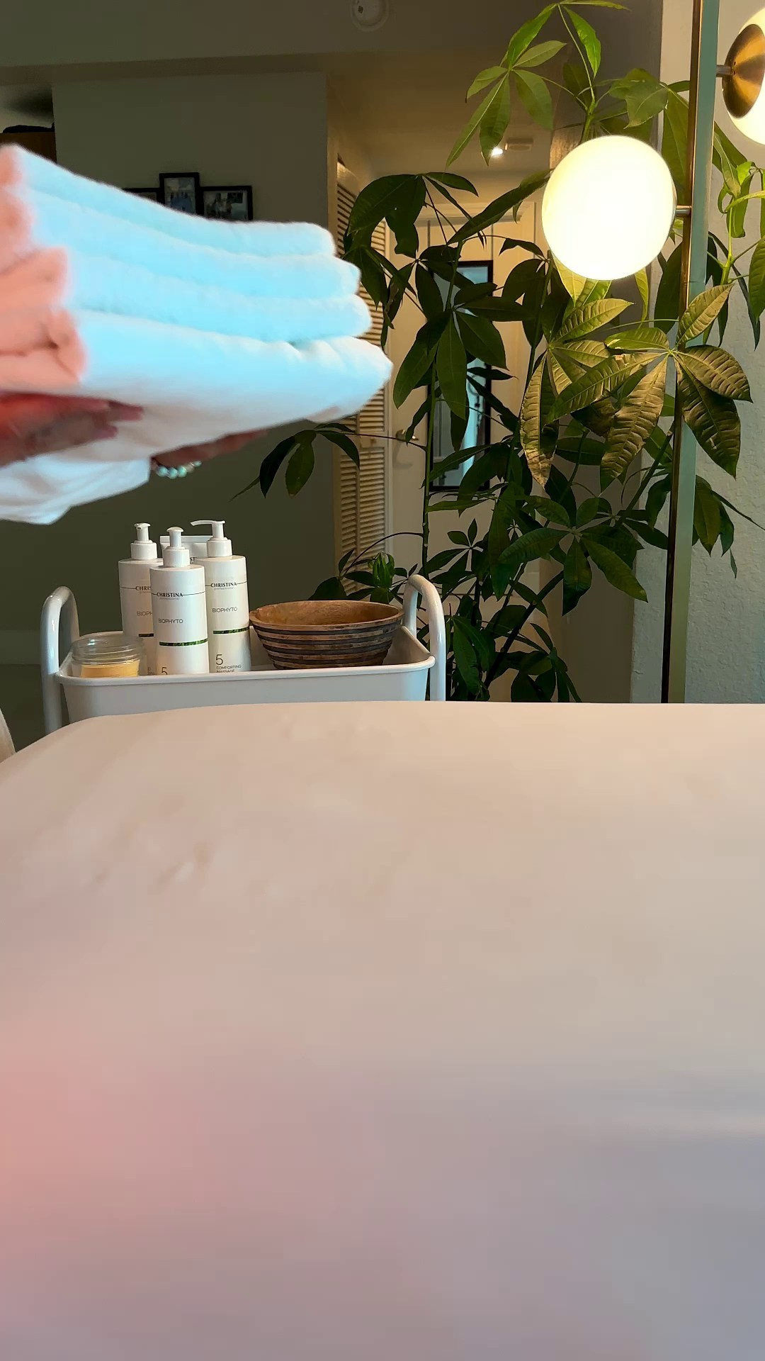 Portfolio Video. Tatiana Ketova