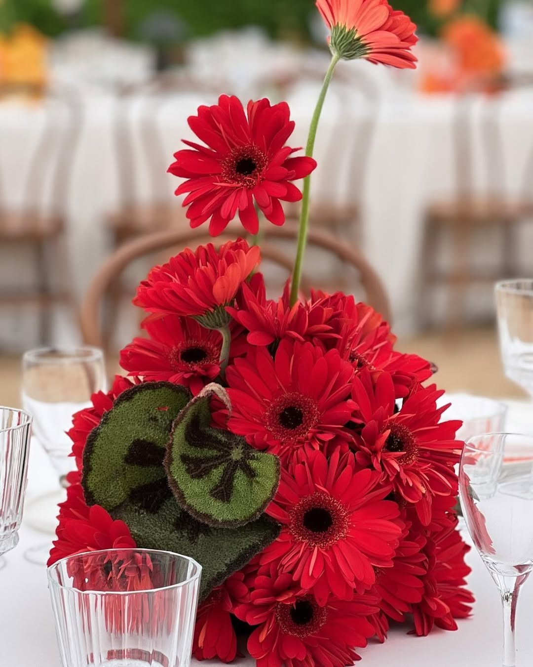 Flower installations in Santa Clotilde, Girona