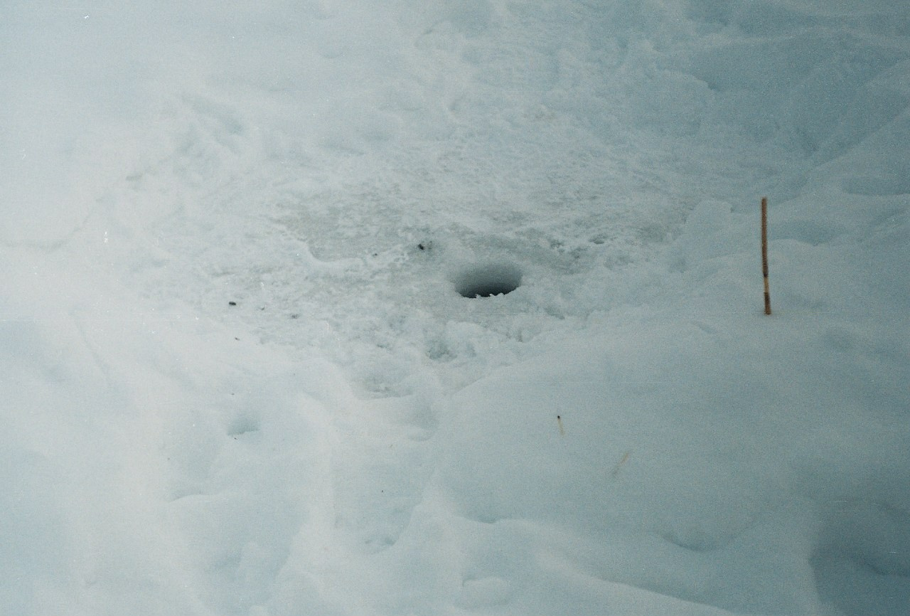 Ochyor (Perm region, Russia) 2013. Elena Zykova film photographer in London