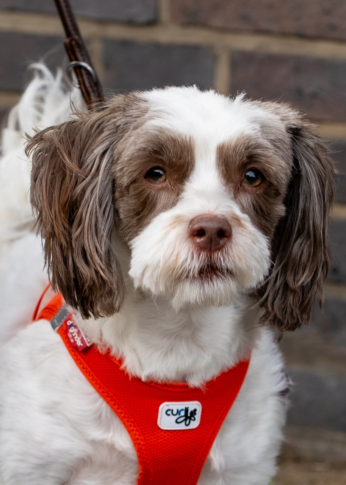 Tierwelt. Bürgerreporter & Amateurfotograf in Hannover
