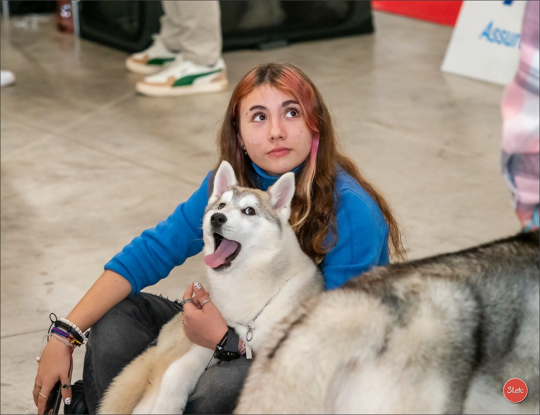 🇫🇷Exposition Canine Internationale de Perpignan. Photographe à Strasbourg | Portraits, Studio, Enfants, Événements