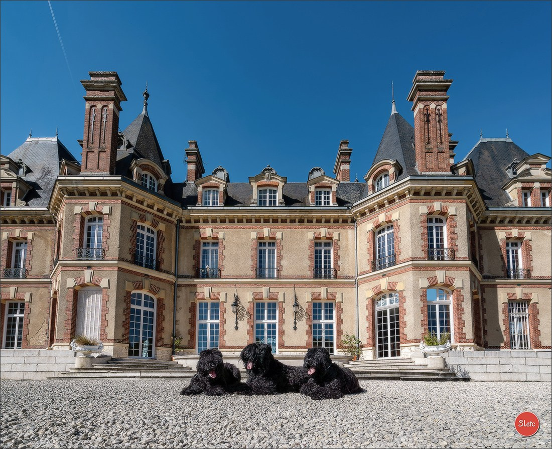 🇫🇷  CHARTRES  🇫🇷  2026  🇫🇷  Exposition Canine Nationale - Château des Boulard