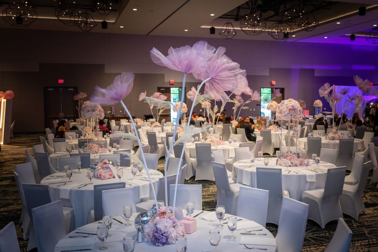 Colección: Camila Mis XV años