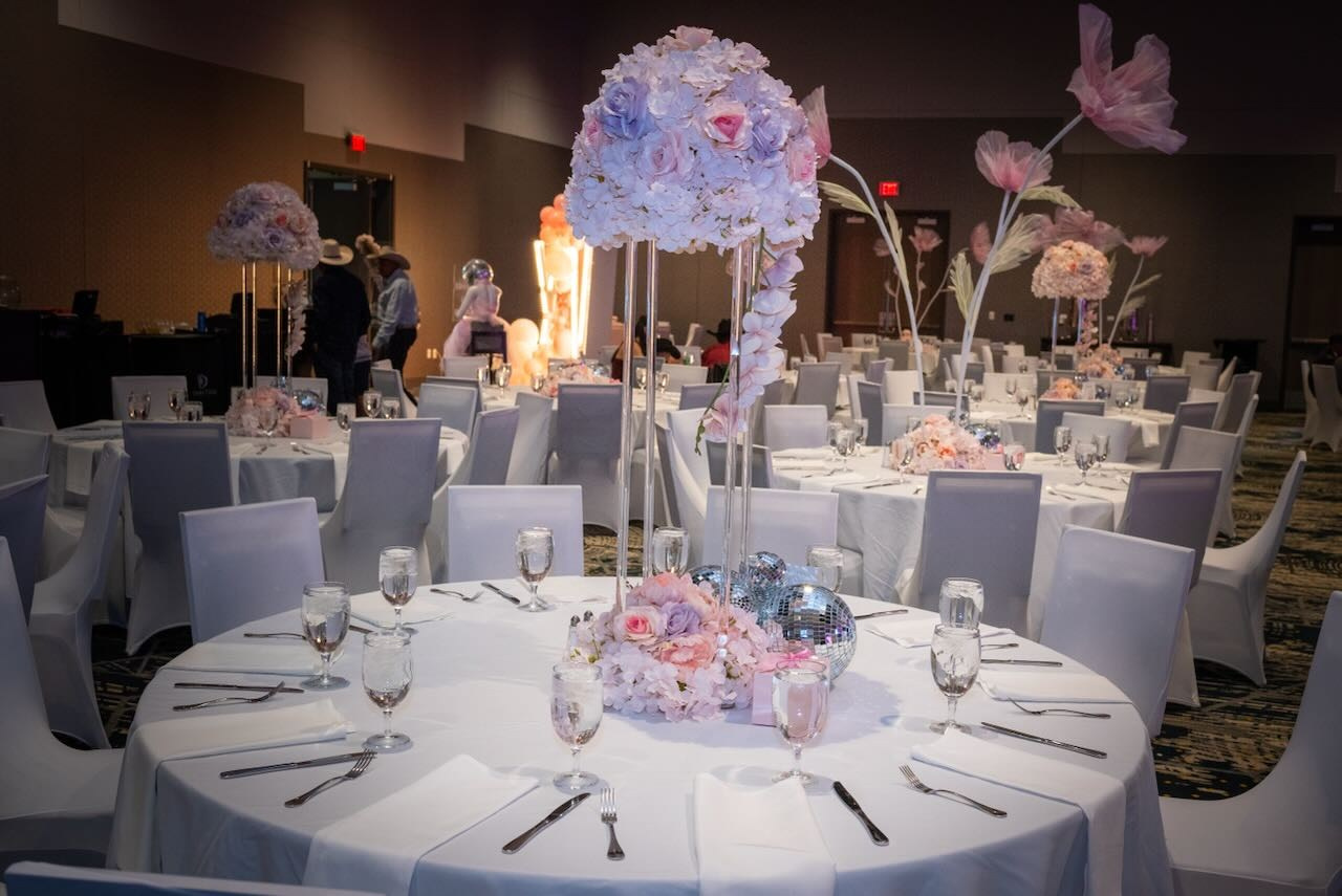 Colección: Camila Mis XV años