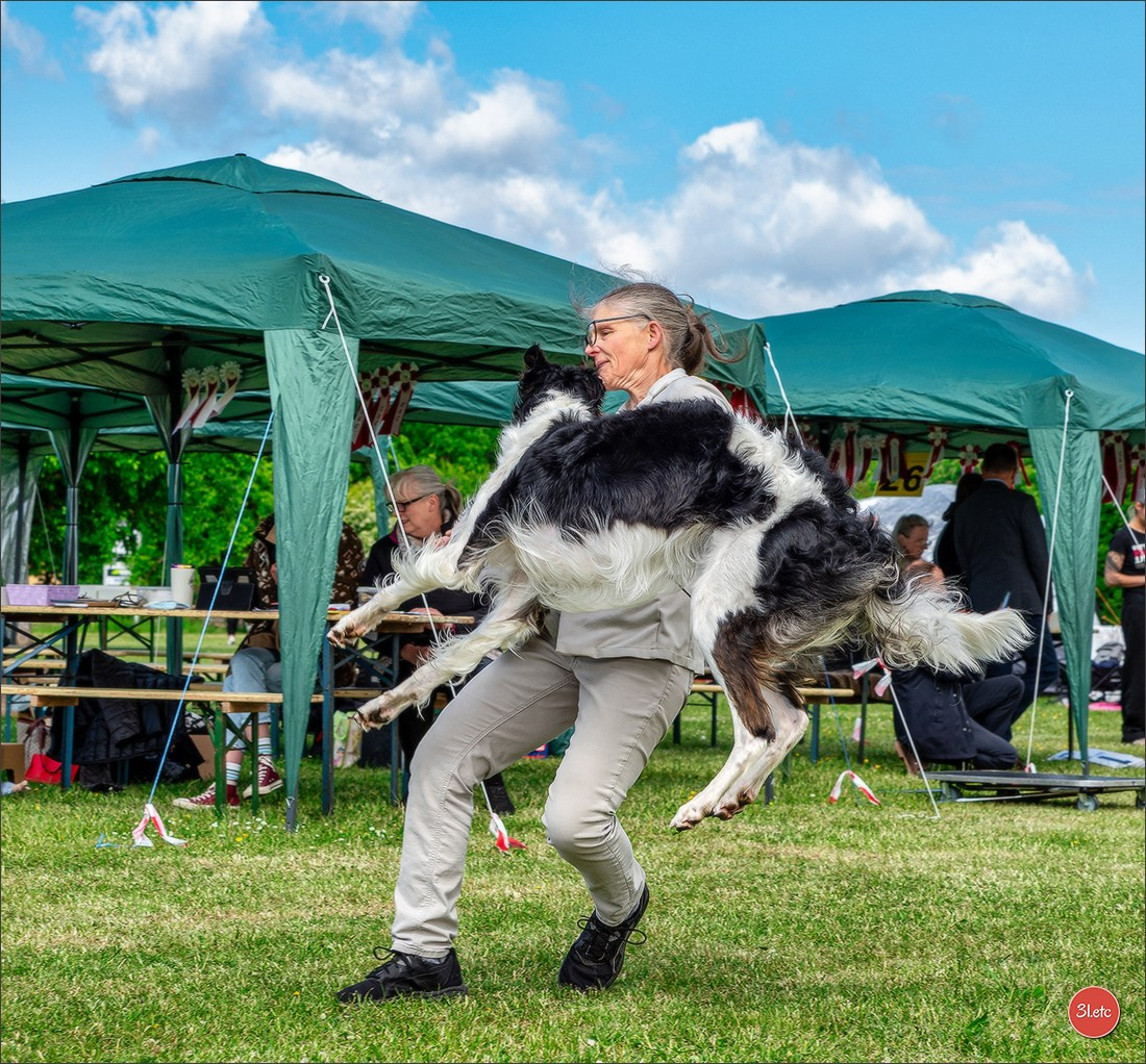 Dog Show Rieden 🇩🇪 16-18/05/2025. Photographe à Strasbourg | Portraits, Studio, Enfants, Événements