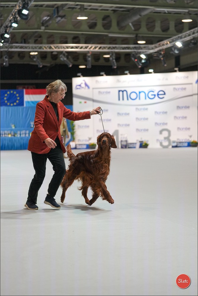🇱🇺 LUXEMBOURG 🇱🇺 International Dog Show 4-5/04/2026. Photographe à Strasbourg | Portraits, Studio, Enfants, Événements