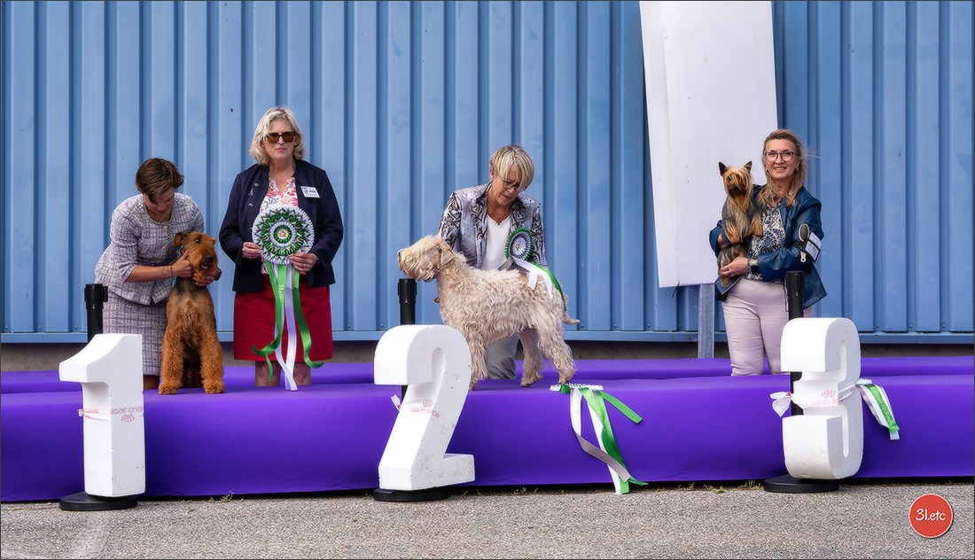 Expo canine 🇫🇷 Valence 02-03/05/2026