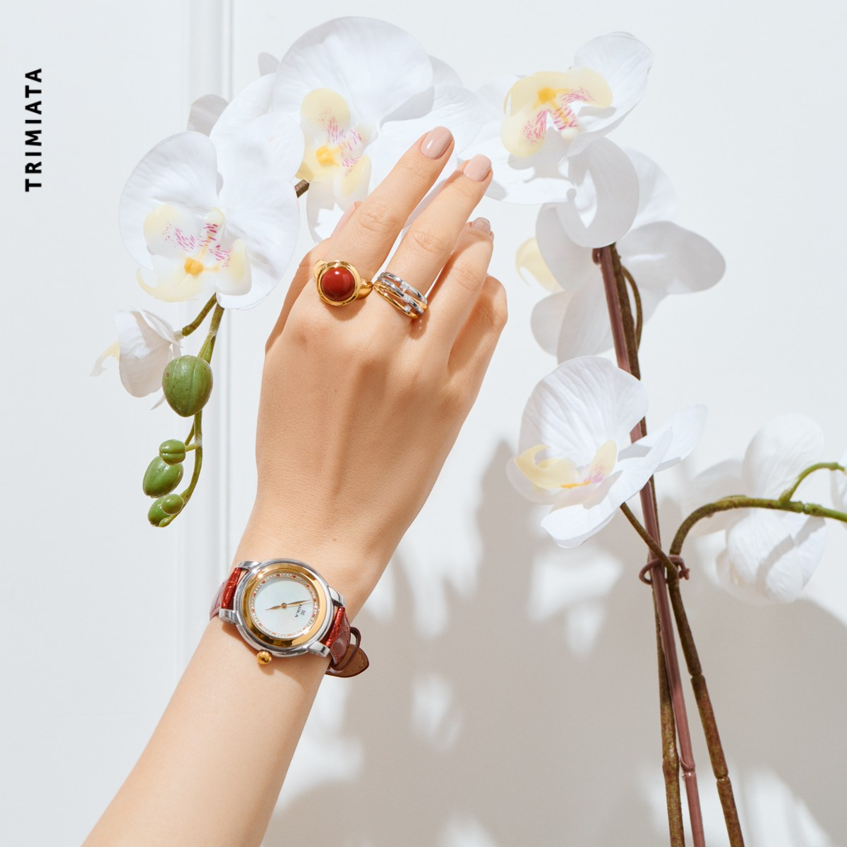 Jewelry. Commercial photographer and filmmaker Kirill Fedotov