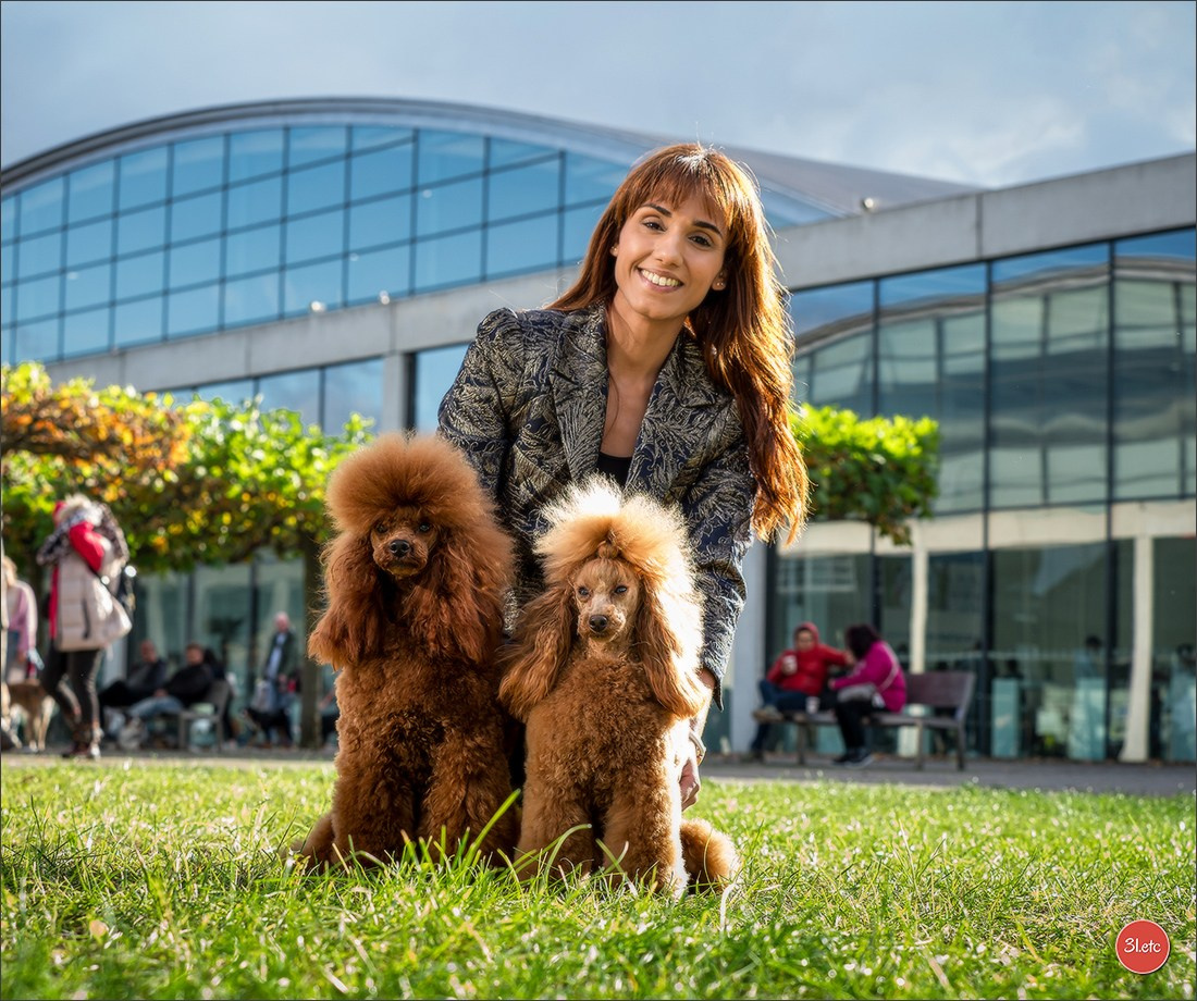 Dog Show in Karlsruhe 2023/11/11. Photographe à Strasbourg | Portraits, Studio, Enfants, Événements