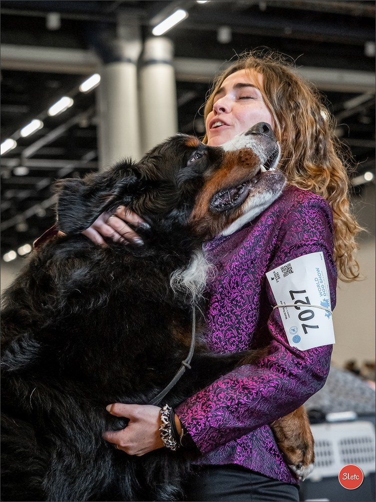 🇫🇮 WDS Helsinki 2025 🇫🇮. Photographe à Strasbourg | Portraits, Studio, Enfants, Événements