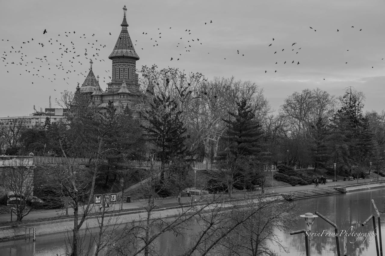 Street. Sorin Frimu Photography