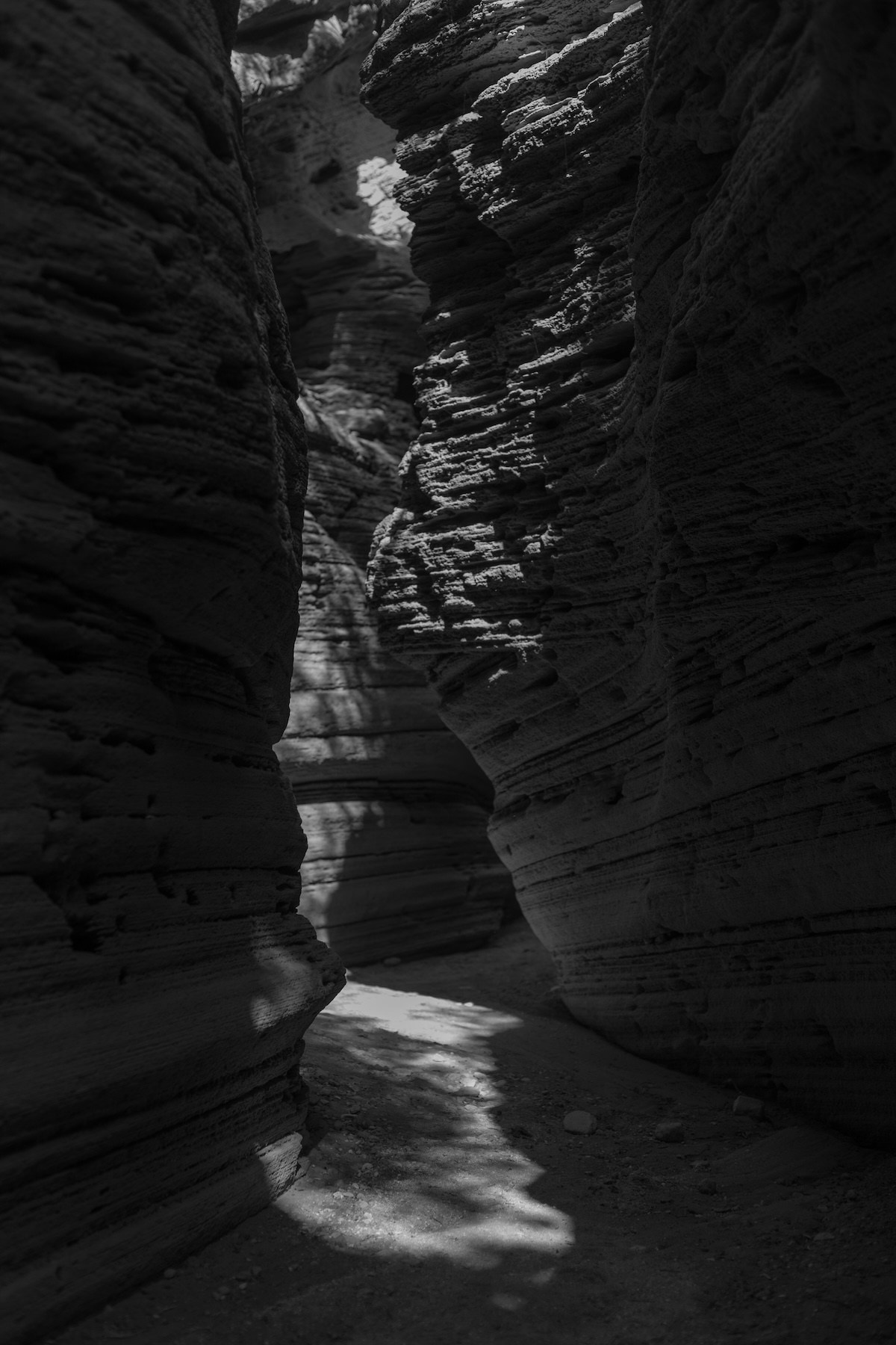 Svetlana (2025-ongoing). Anna Guseva | Visual artist