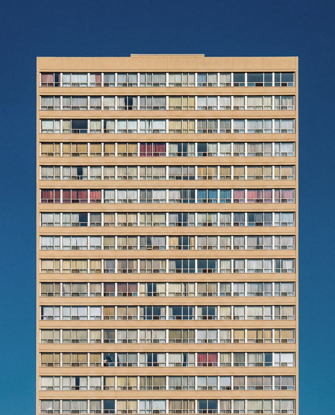 Film Grain Co. Volume 1