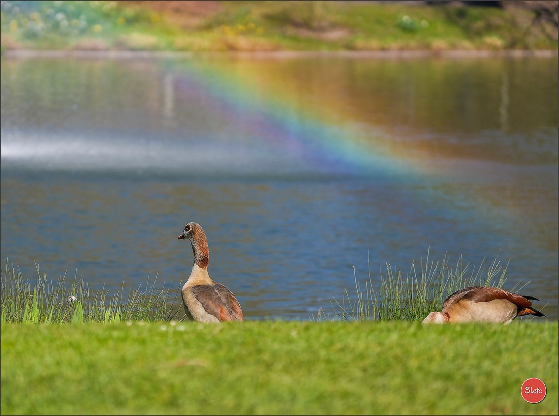 TEST ::: Sony Alpha 7 V (ILCE-7M5) 70-200mm f/2.8 GM II OSS. Photographe à Strasbourg | Portraits, Studio, Enfants, Événements