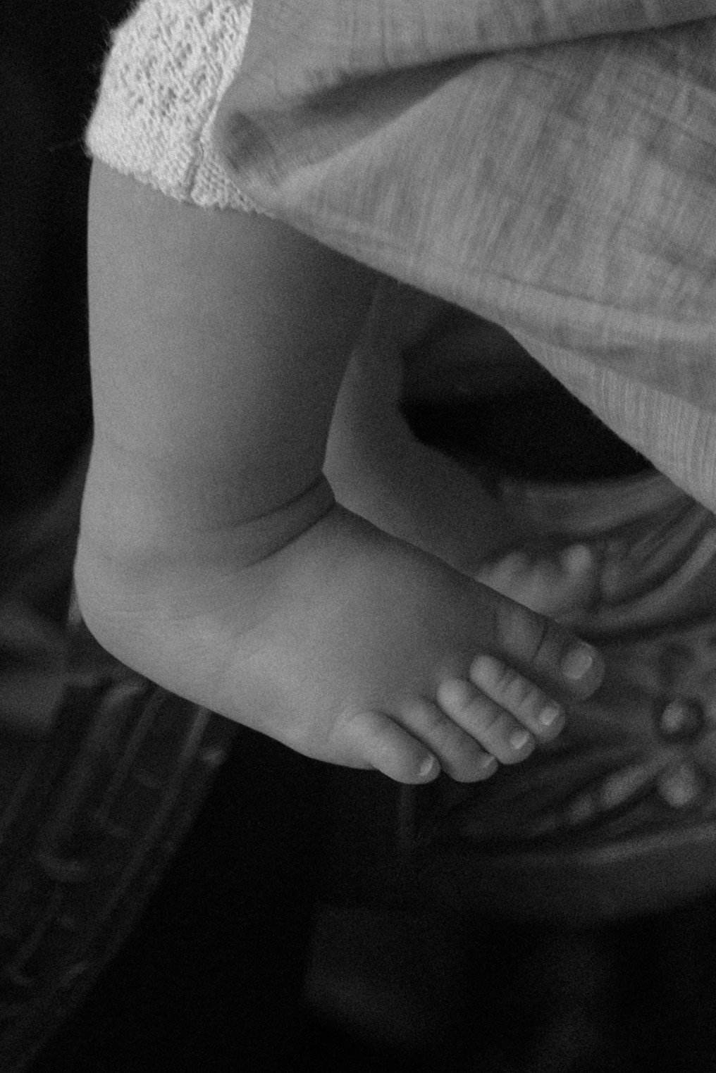 Family Gallery. Camilla Bloom