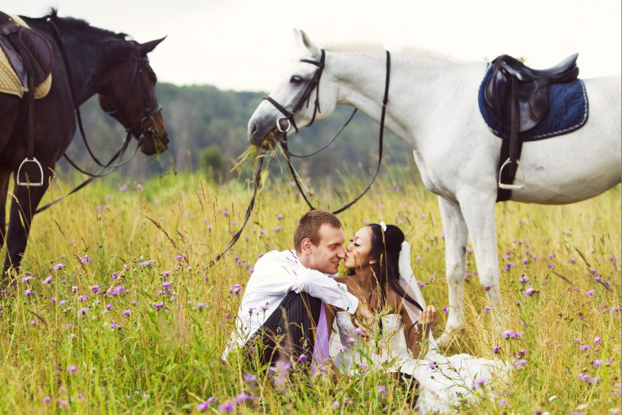 A mix of older weddings. True Story Photography