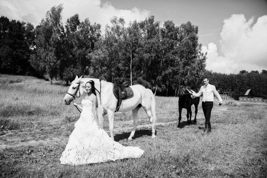 A mix of older weddings. True Story Photography