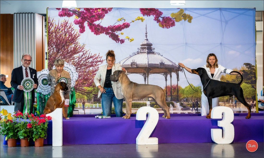 Expo canine 🇫🇷 Valence 02-03/05/2026