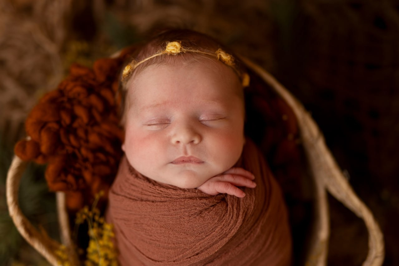 Photographe famille a Bourges seance nouveau ne 